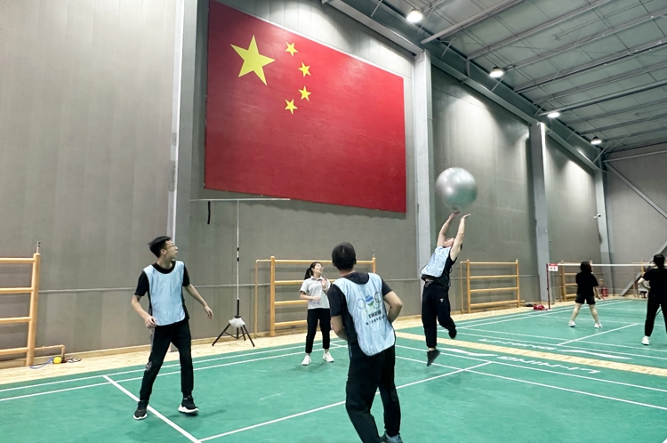 員工趣味運(yùn)動(dòng)會(huì)-趣味排球